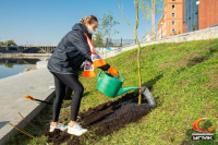 30.09.20 Ивовая аллея УГМК