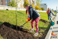 30.09.20 Ивовая аллея УГМК