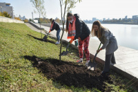 30.09.20 Ивовая аллея УГМК