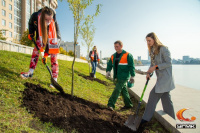 30.09.20 Ивовая аллея УГМК